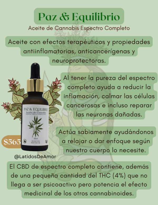 Paz & Equilibrio - Imagen 2
